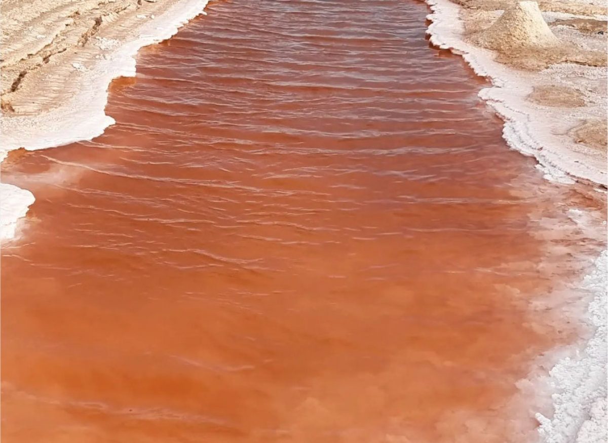 Chott El Djerid - Il lago salato