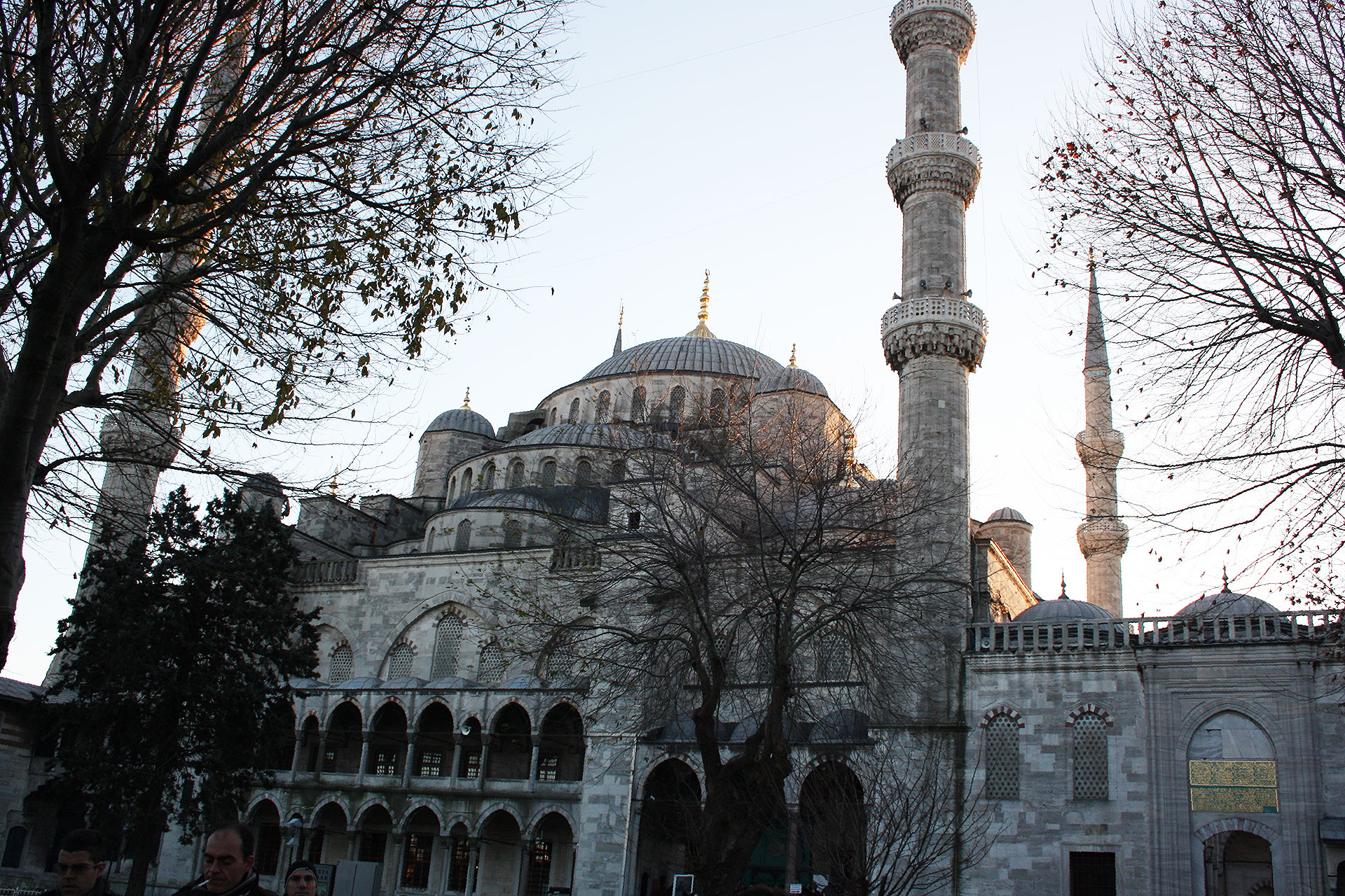 Moschea_blu