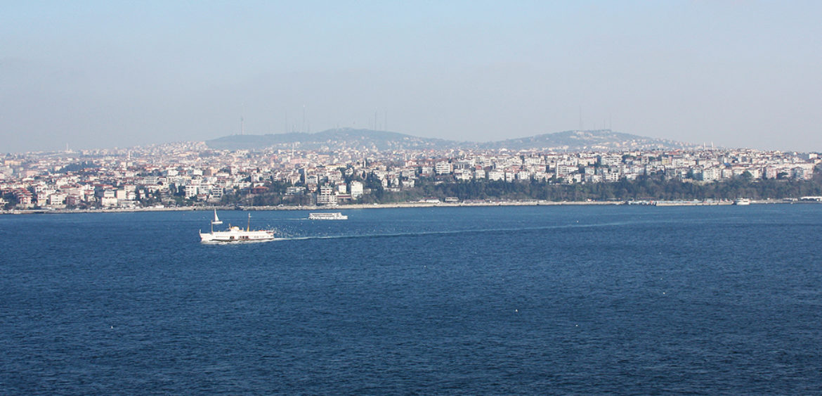 Slide Image