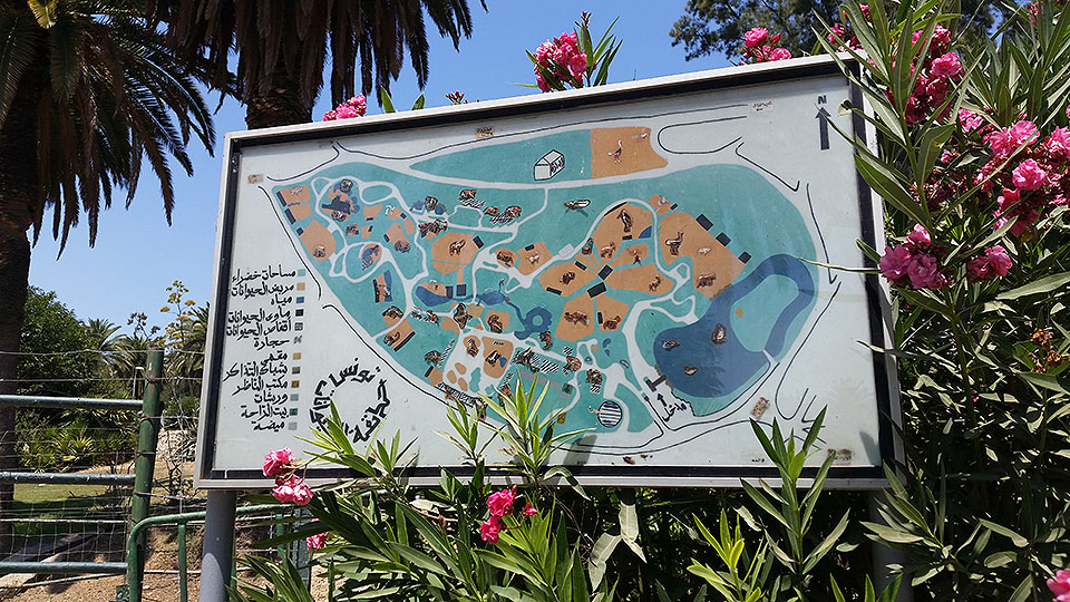 Mappa del giardino zoologico di Tunisi