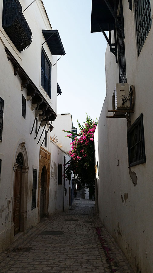 Medina