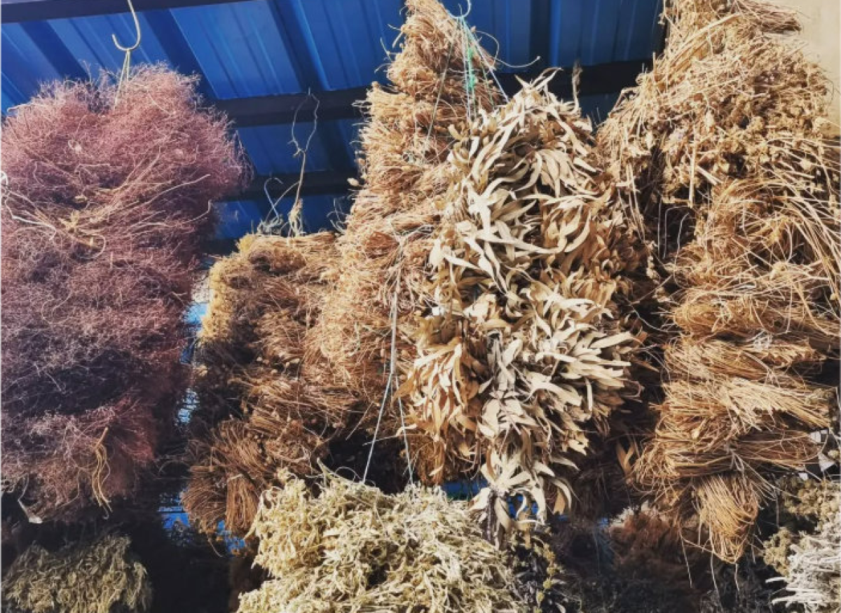 Souq el Blat - paradis des herboristes et des potions magiques 