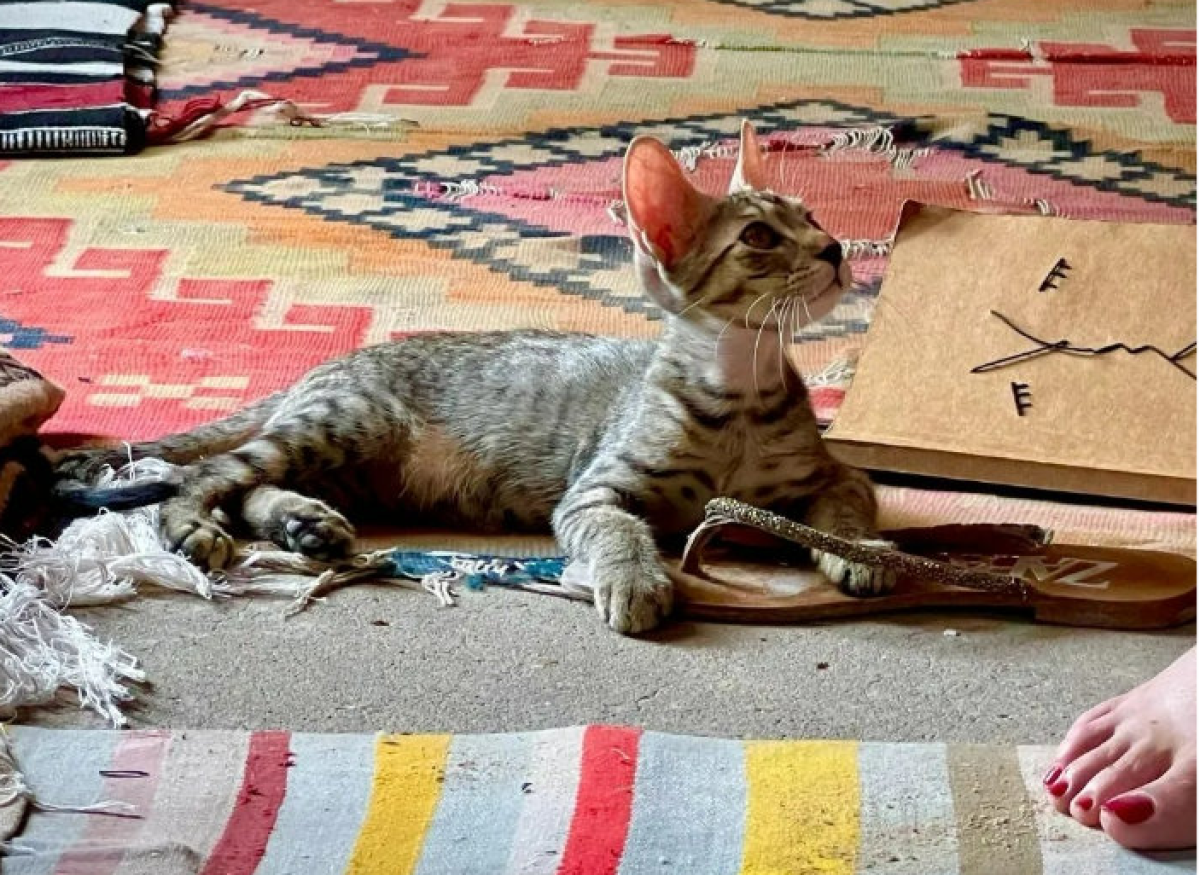 Viaggio al sud. Deserto del Sahara Tunisia - Foto di Cristhian Orlando 2022